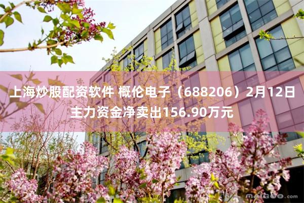 上海炒股配资软件 概伦电子（688206）2月12日主力资金净卖出156.90万元