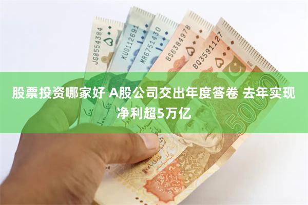 股票投资哪家好 A股公司交出年度答卷 去年实现净利超5万亿