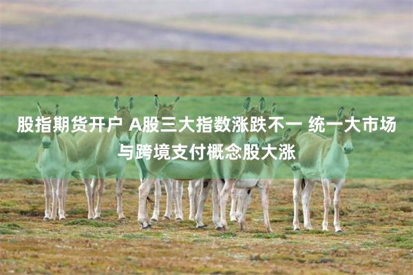 股指期货开户 A股三大指数涨跌不一 统一大市场与跨境支付概念股大涨