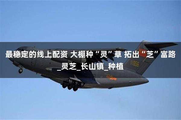 最稳定的线上配资 大棚种“灵”草 拓出“芝”富路_灵芝_长山镇_种植