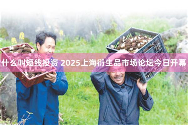 什么叫短线投资 2025上海衍生品市场论坛今日开幕
