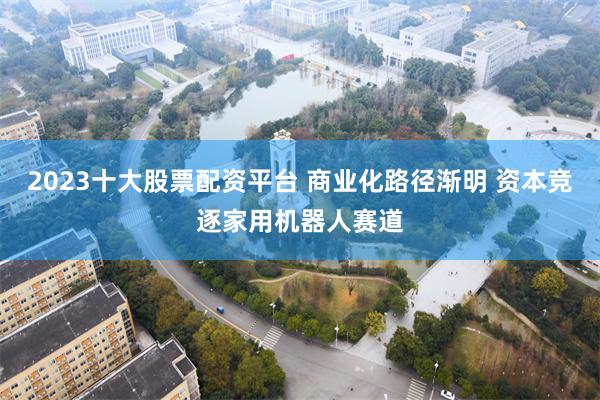 2023十大股票配资平台 商业化路径渐明 资本竞逐家用机器人赛道