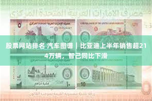 股票网站排名 汽车图谱｜比亚迪上半年销售超214万辆，智己同比下滑